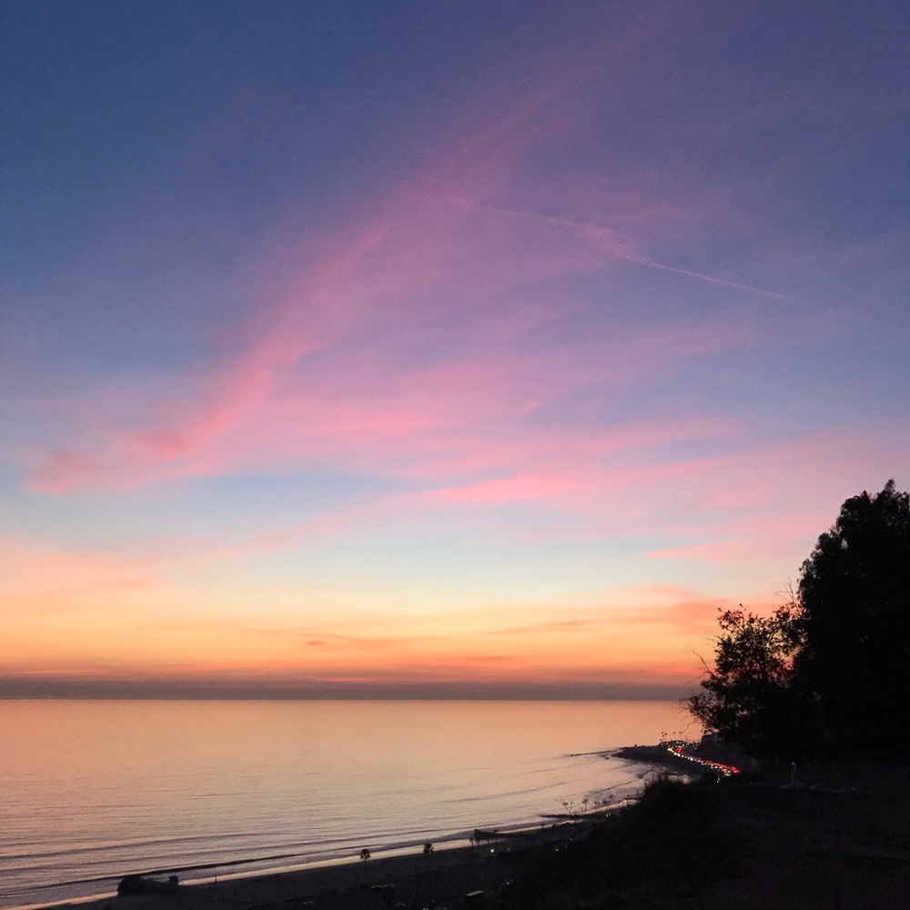 Meet your Posher, Livi